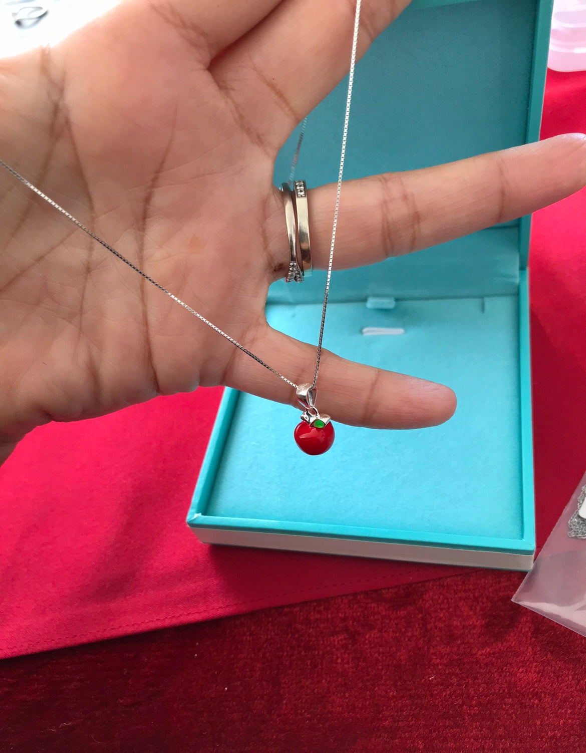 Dije y Cadena de Plata 925 modelo Manzana