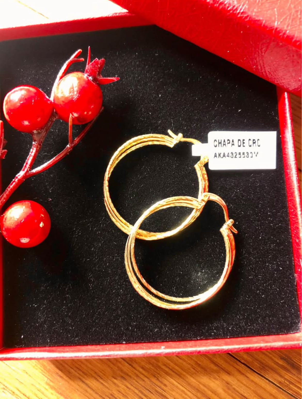 Arracadas en Chapa de Oro 18k