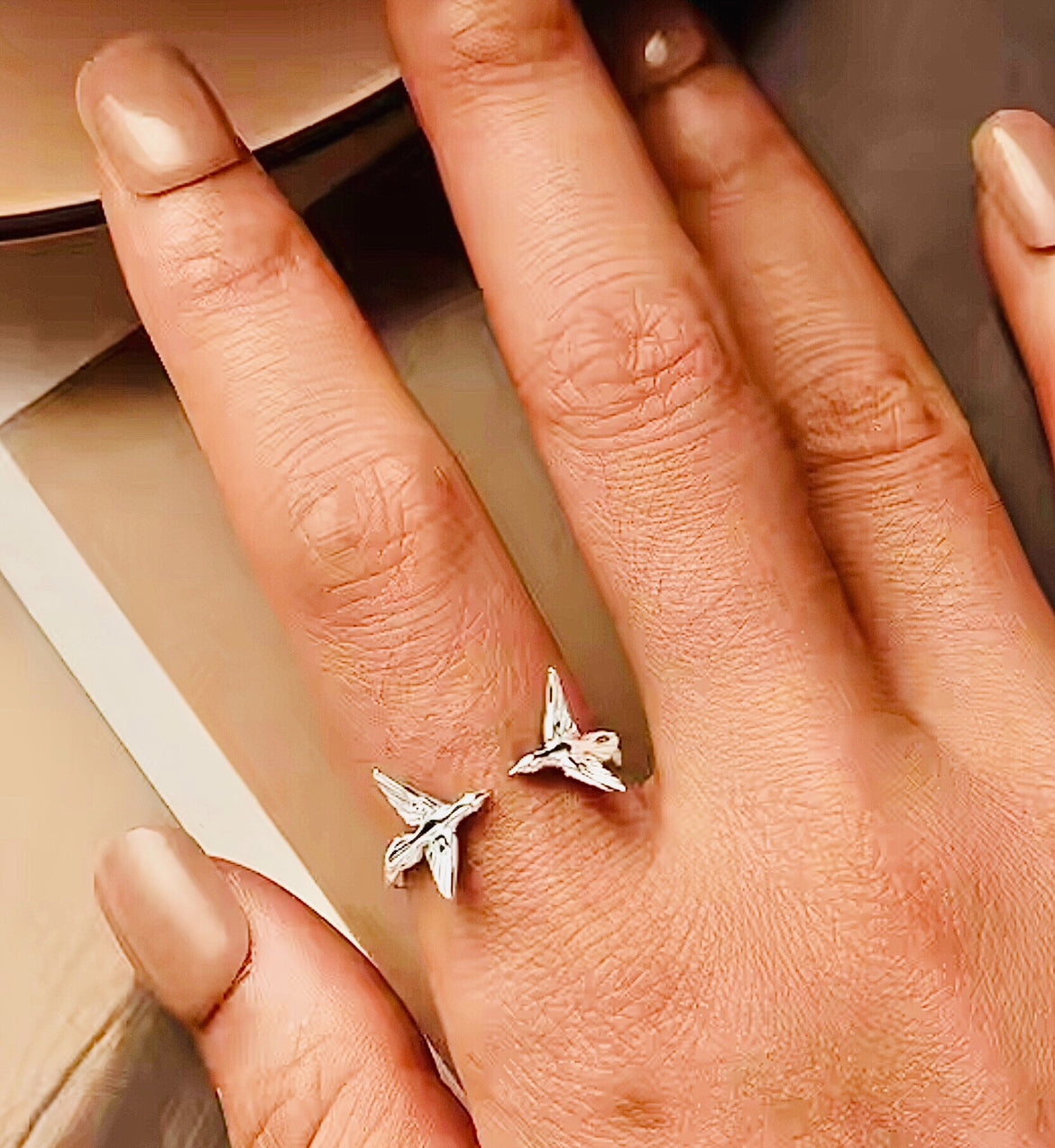 Anillo de Plata Ajustable al Dedo