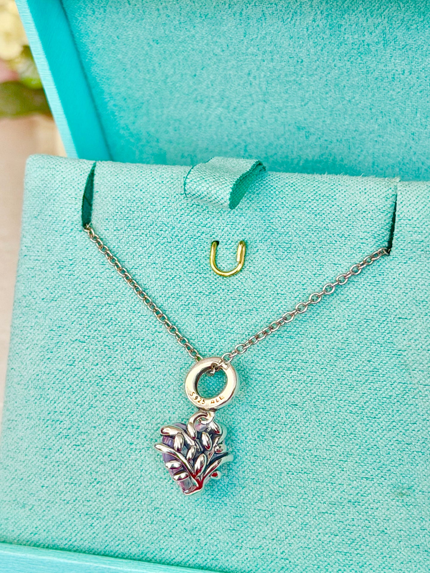 Dije / Charm con Cadena de Plata 925 Ajustable