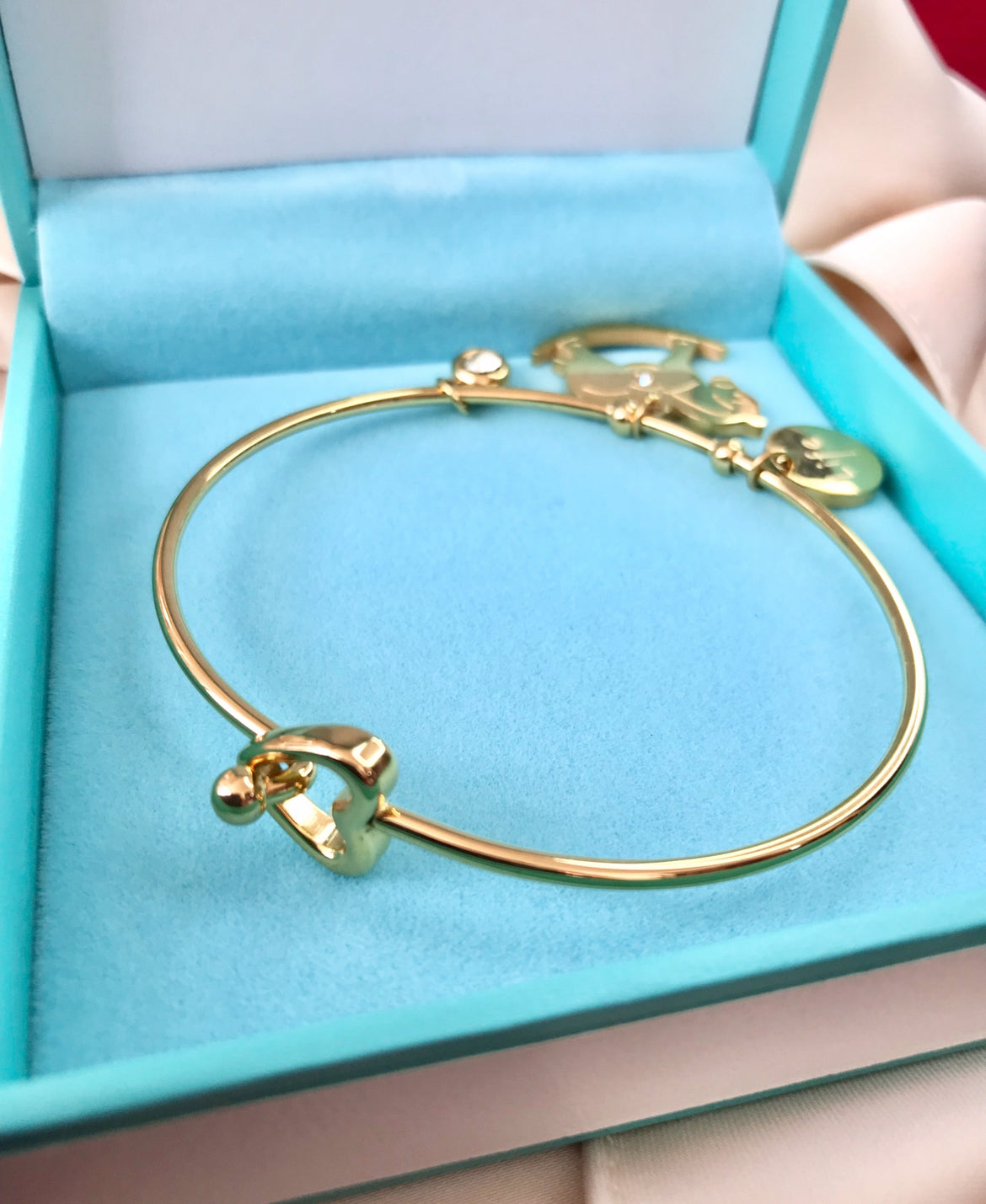 Pulsera Rígida de Acero Inoxidable con Zirconia