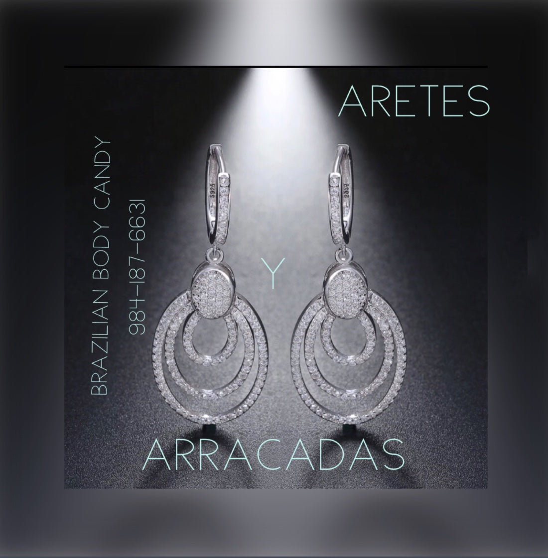 Colección de Aretes, Arracadas, Broqueles, y Piercings / Pernos