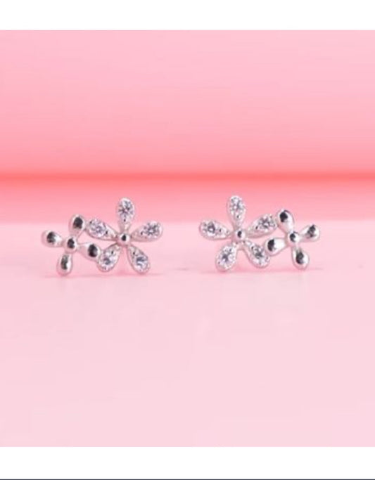 Aretes de Plata 925 con Zirconias