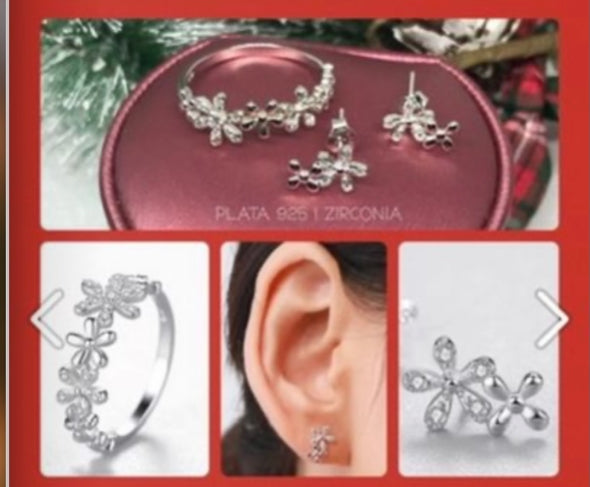Aretes de Plata 925 con Zirconias